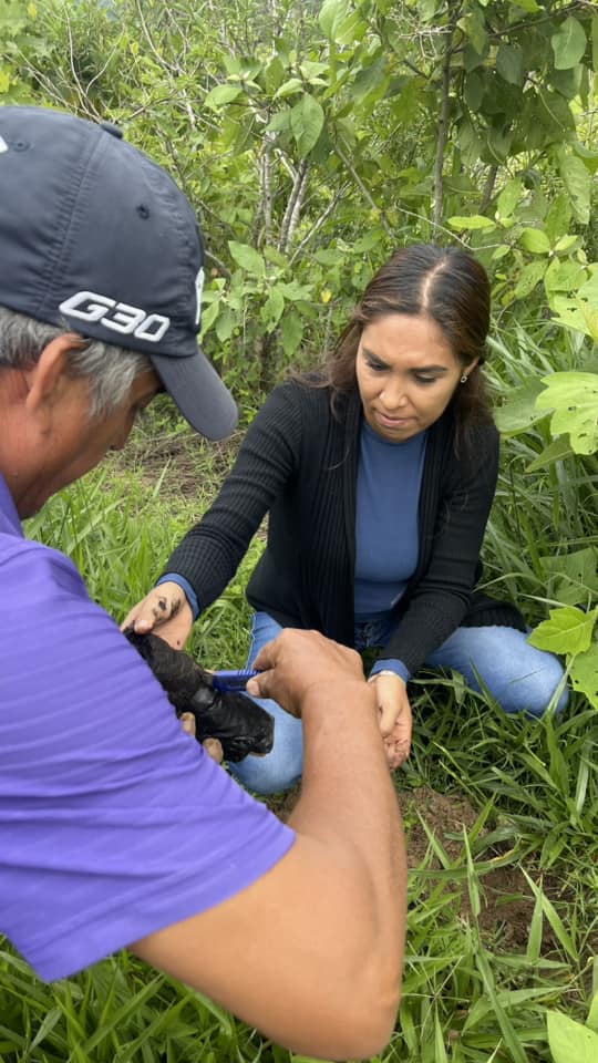 1691711918 520 Reforestacion Tlatlaya El Sistema Municipal DIF de Tlatlaya participa