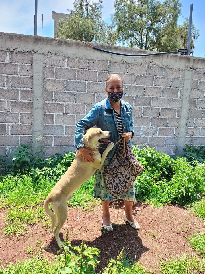 1691760612 852 Se realizo la Jornada de Esterilizacion Canina y Felina en