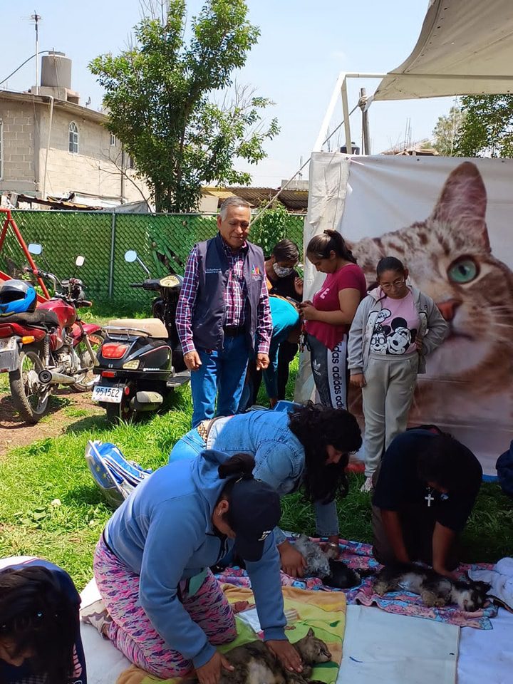 1691760623 592 Se realizo la Jornada de Esterilizacion Canina y Felina en