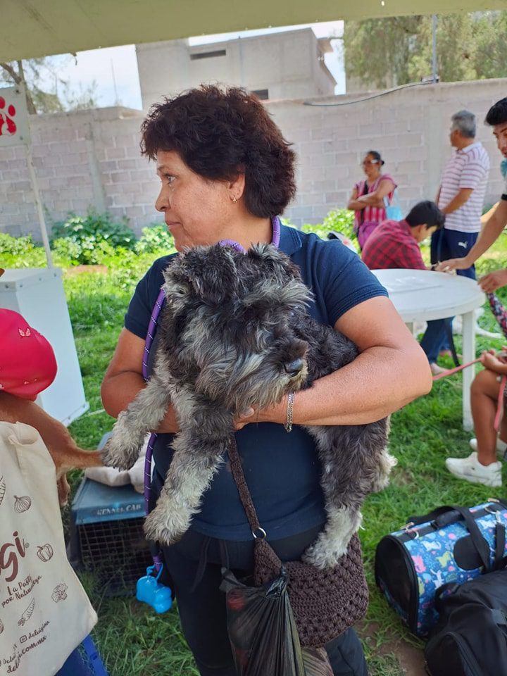 1691767896 499 Se realizo la Jornada de Esterilizacion Canina y Felina en