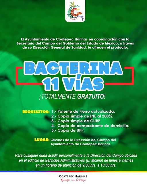 1691775416 144 BienestarAnimal El Ayuntamiento Coatepec Harinas 2022 2024 en coordinacion c