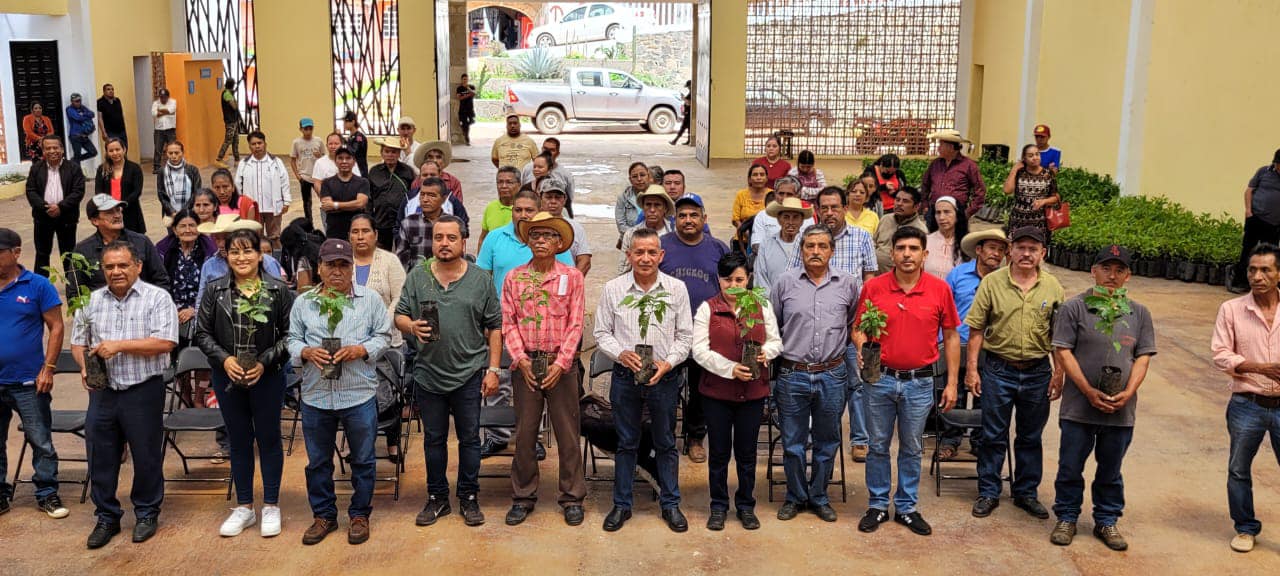 1691777334 648 Entregamos 3 mil plantas de cafe a 60 productores de