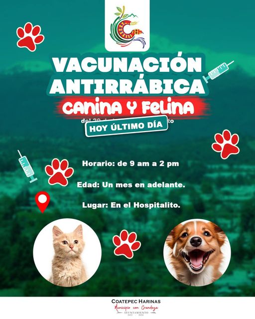 1691782707 689 Si tienes perros o gatos hoy sera el ultimo dia