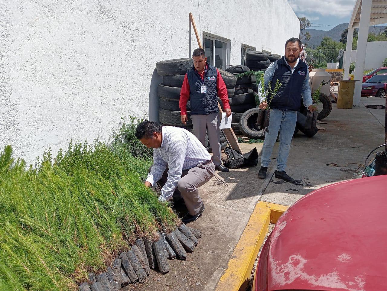 1691785947 714 ¡Seguimos con la entrega de Arboles para el programa de