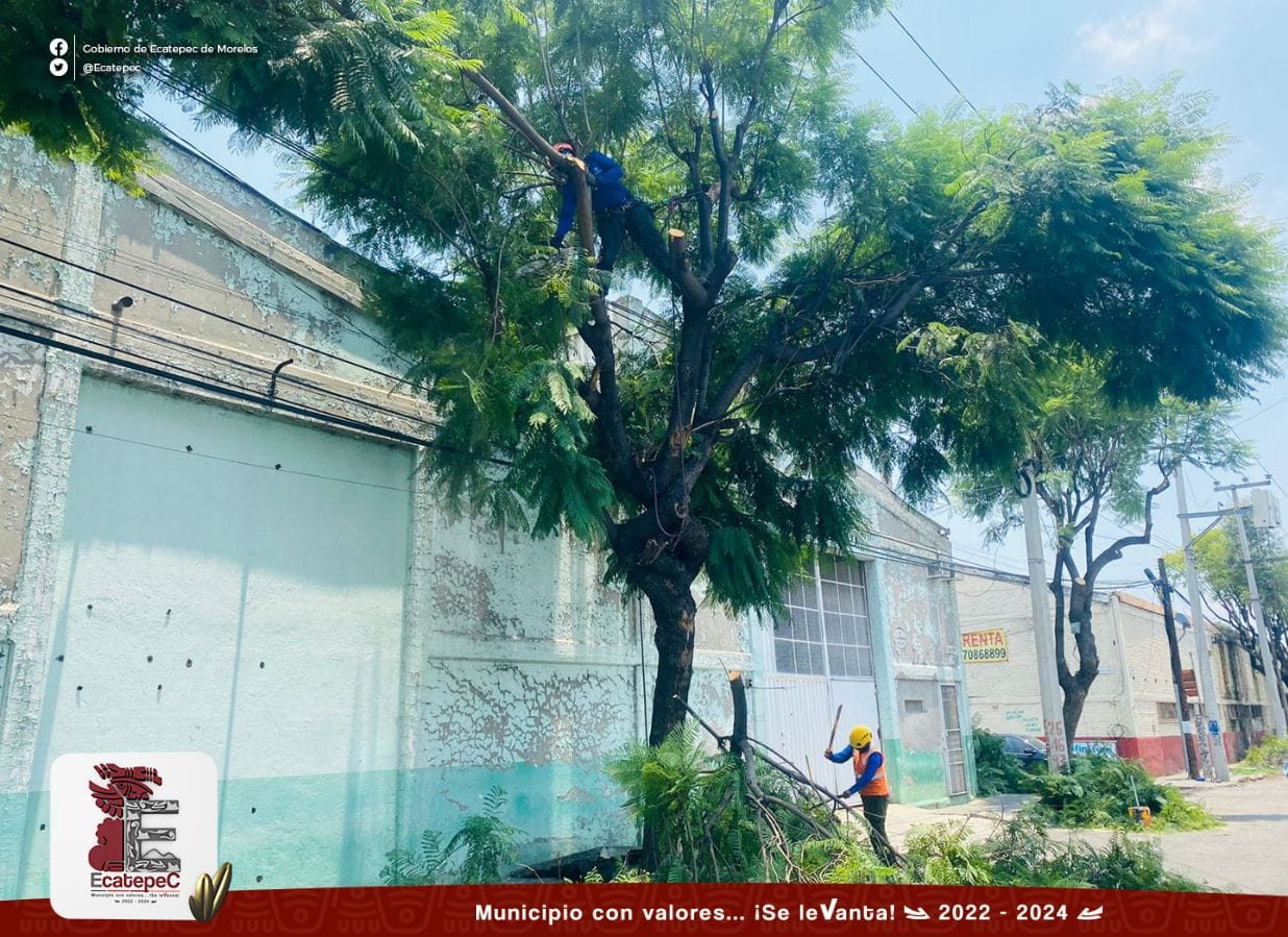 1691872340 546 Con el objetivo de mantener nuestros espacios en optimas condiciones