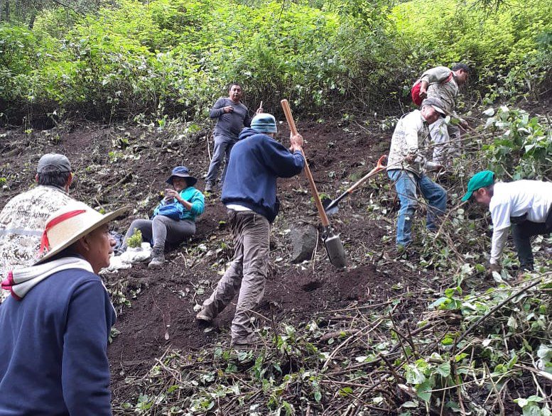 1691872623 802 Continuamos ReforestandoCapulhuac Este viernes dentro del marco del DiaIntern