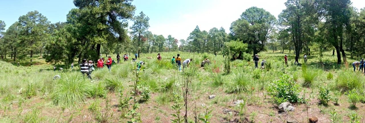 1691874755 609 Con la participacion de bienes comunales delegados y organizaciones voluntarias