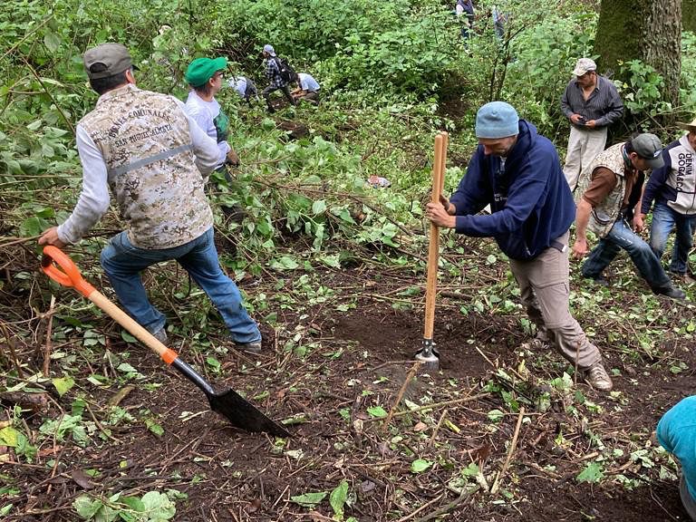 1691930110 673 Continuamos ReforestandoCapulhuac Este viernes dentro del marco del DiaIntern