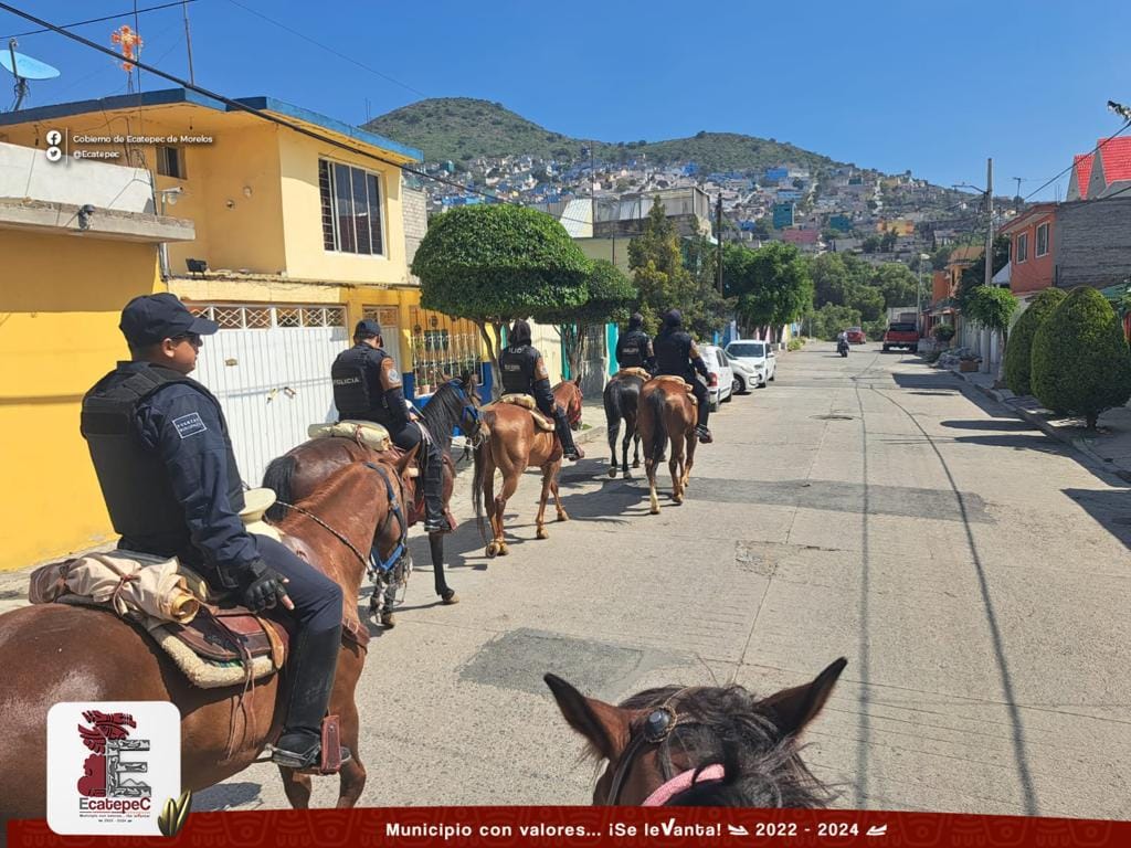 1691966270 890 Como parte del operativo ReconstruyendoEcatepec hoy la policia montada patrul