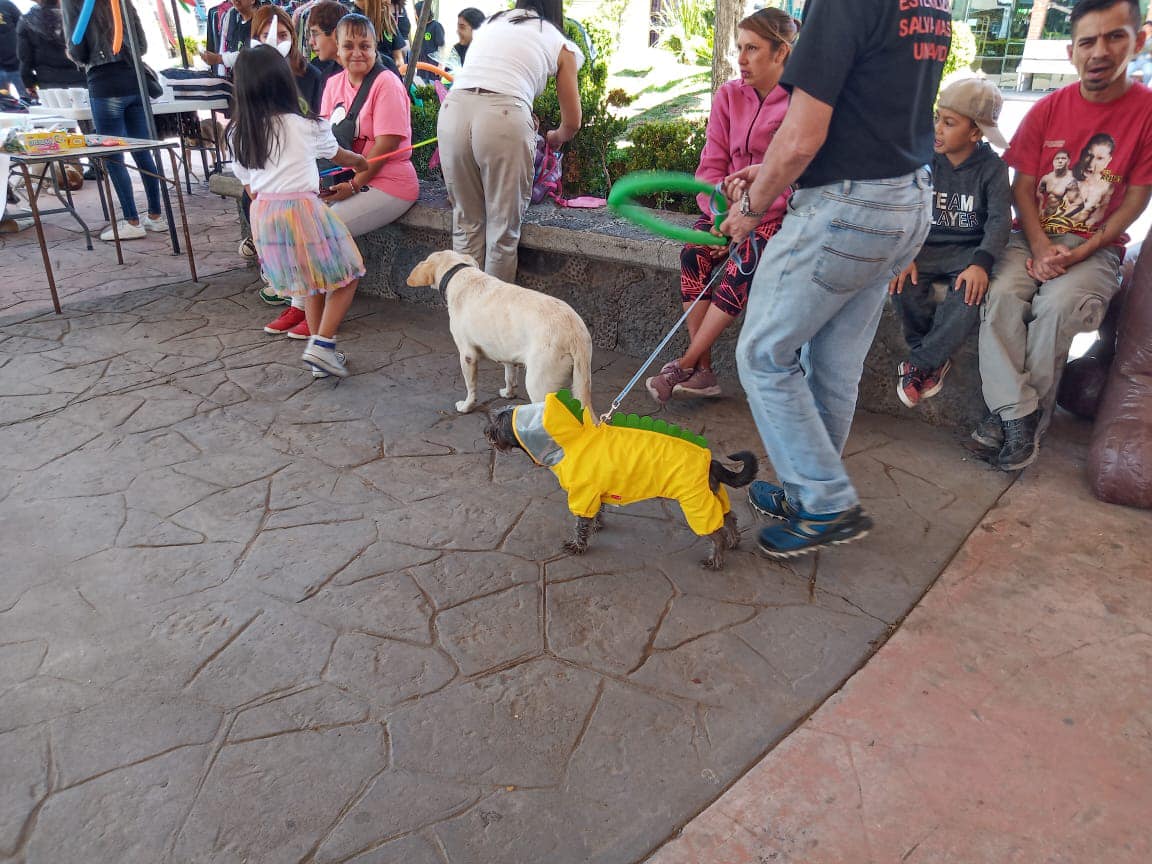 1692014984 140 ¡Te mostramos algunas fotos del primer festival Patitas Felices Nos