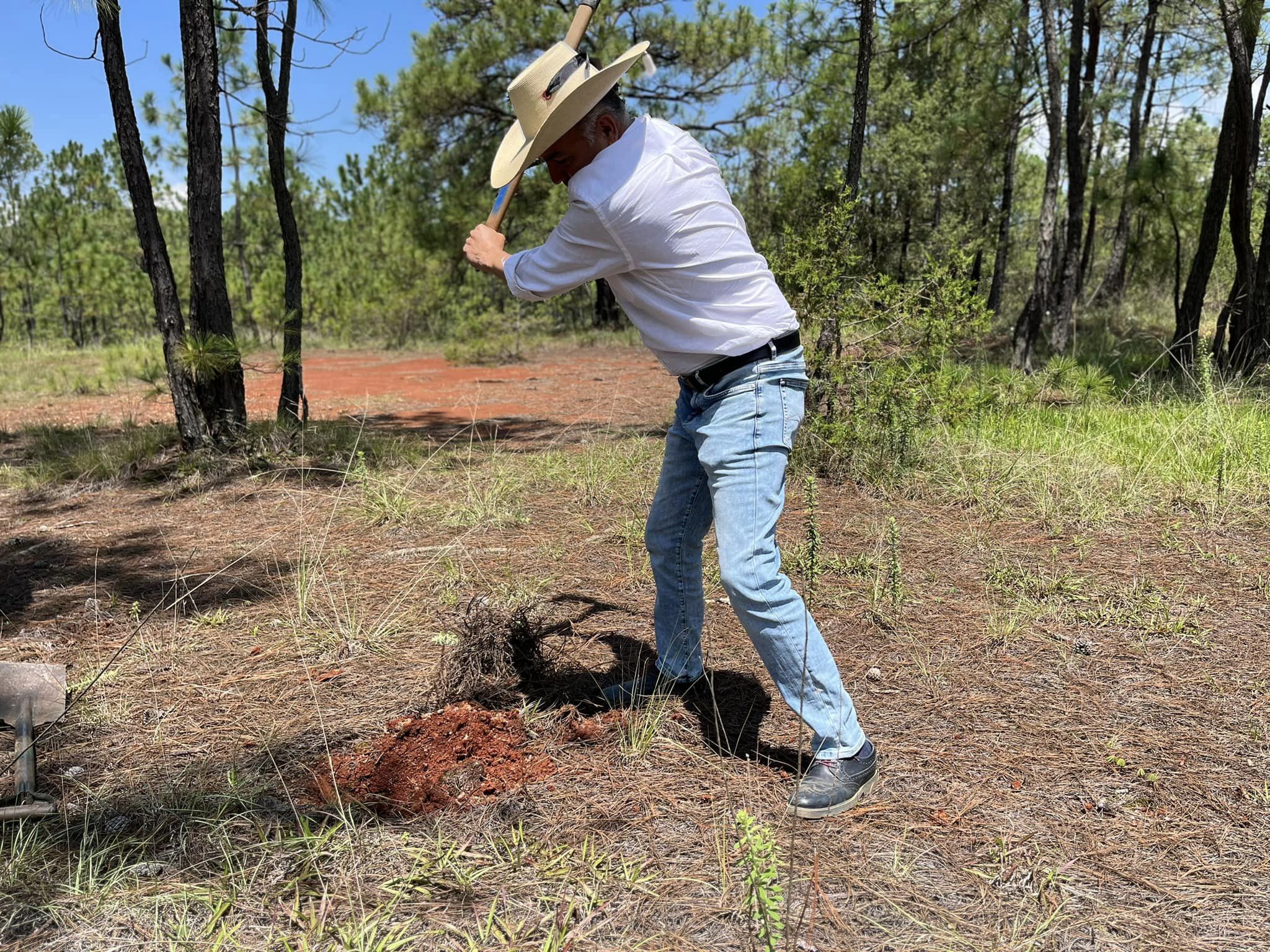 1692036822 478 RLR Via Rigoberto Lopez Rivera Sabado de reforestacion en