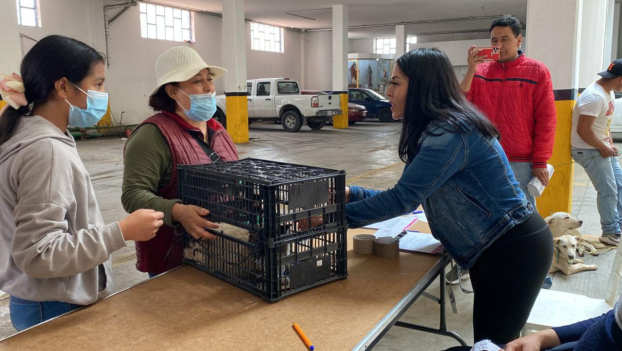 1692038570 410 ¡Un poder conlleva una gran responsabilidad El GobiernoParaTodos realizo la