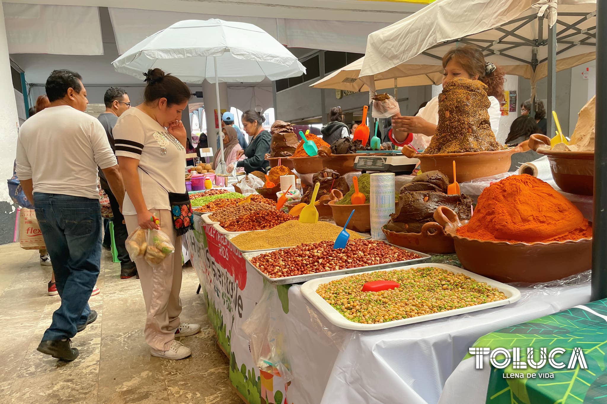 1692039161 263 El HuertoSustentable del DIF Toluca es el mejor lugar para