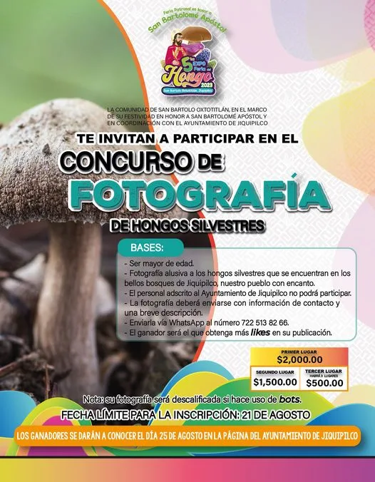 1692040662 Participa en el Concurso de Fotografia de Hongos Silvestres que jpg