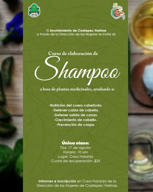 1692041684 Inscribete y aprende como hacer Shampoo natural con plantas medicinales jpg