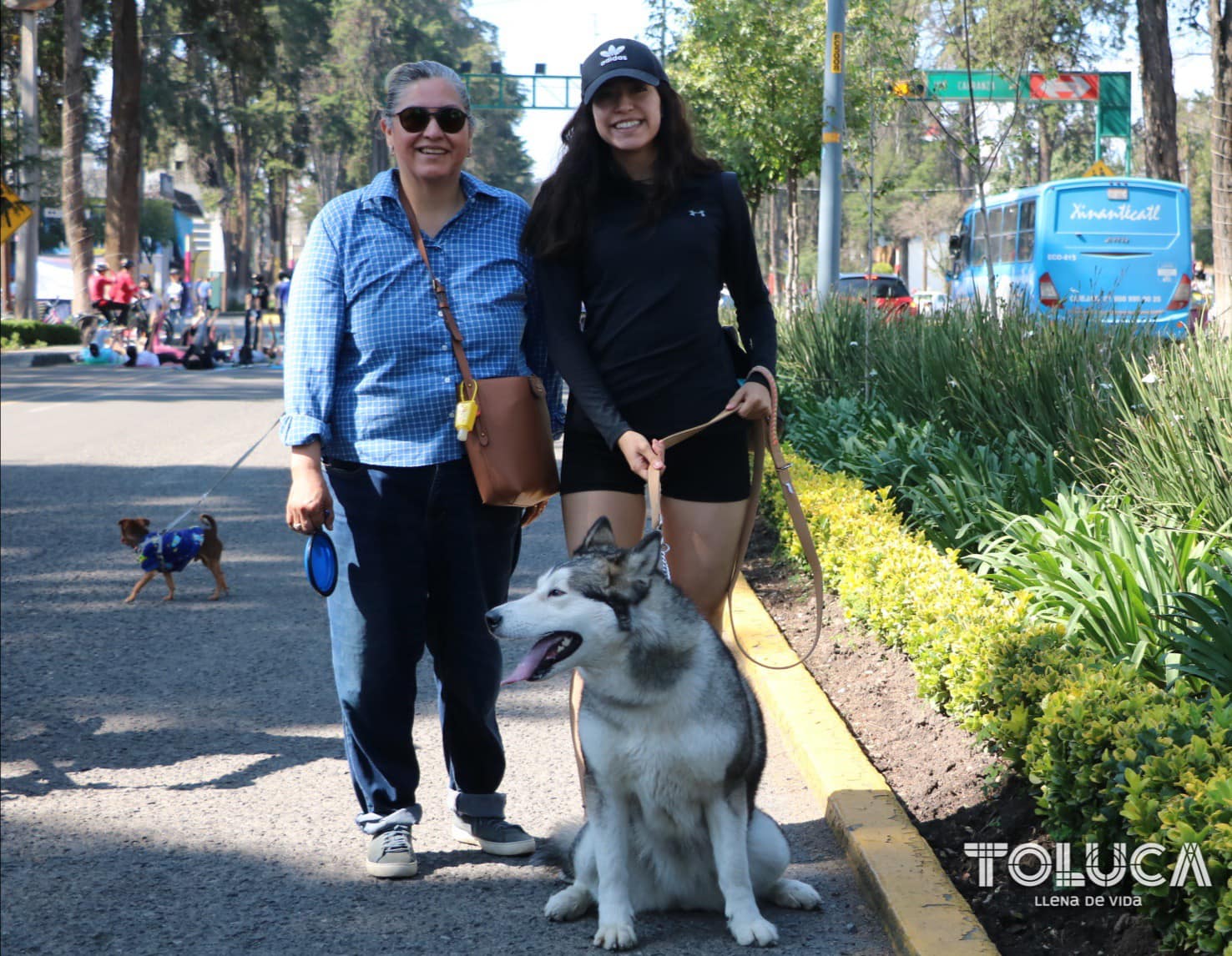 1692046392 384 ¡Nuestro PaseoDominical en Paseo Colon sigue creciendo