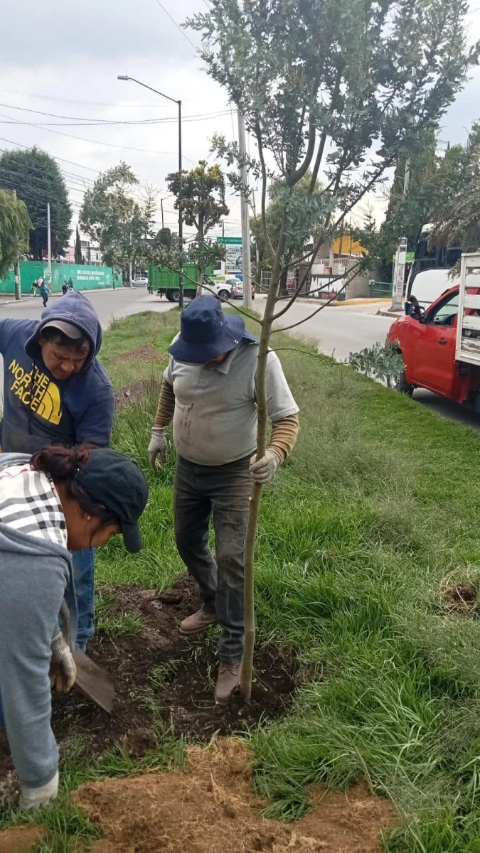 1692047694 742 La Direccion de Medio Ambiente Metepec esta poniendo chulo nuestro