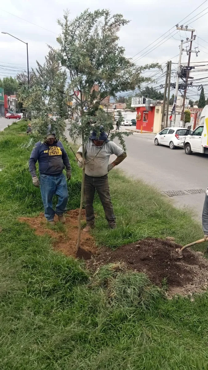 1692047715 La Direccion de Medio Ambiente Metepec esta poniendo chulo nuestro