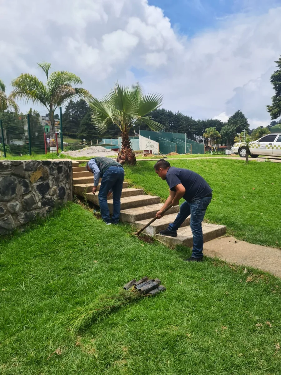 1692047863 193 Una reforestacion mas En esta ocasion logramos realizar la reforestacion