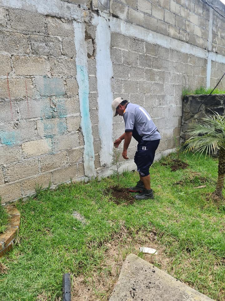 1692047875 606 Una reforestacion mas En esta ocasion logramos realizar la reforestacion