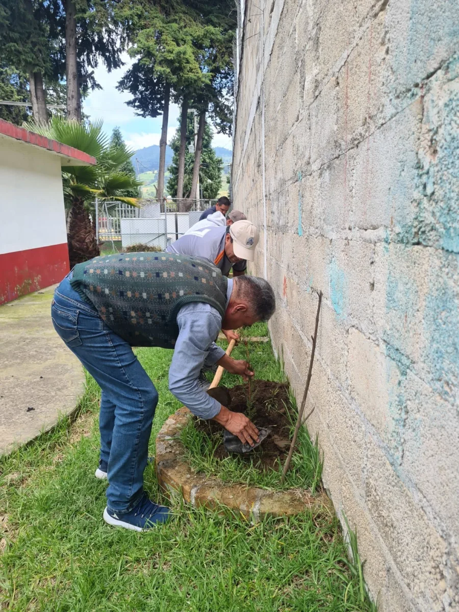 1692047894 Una reforestacion mas En esta ocasion logramos realizar la reforestacion