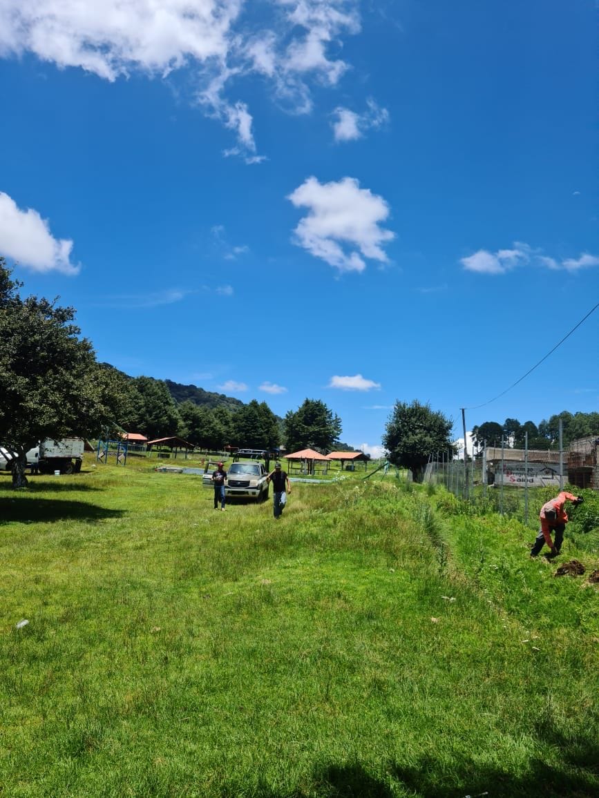 1692055113 745 6Reforestacion CabeceraMunicipal