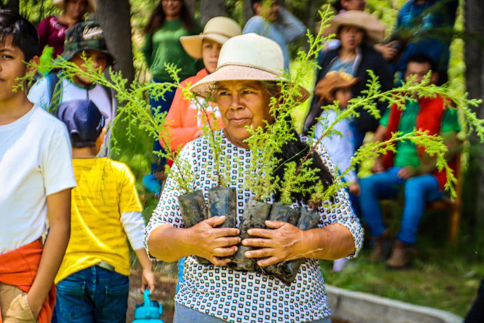 1692102766 375 Asi se vivio la CaminataEcologicaFamiliar y Reforestacion con las y