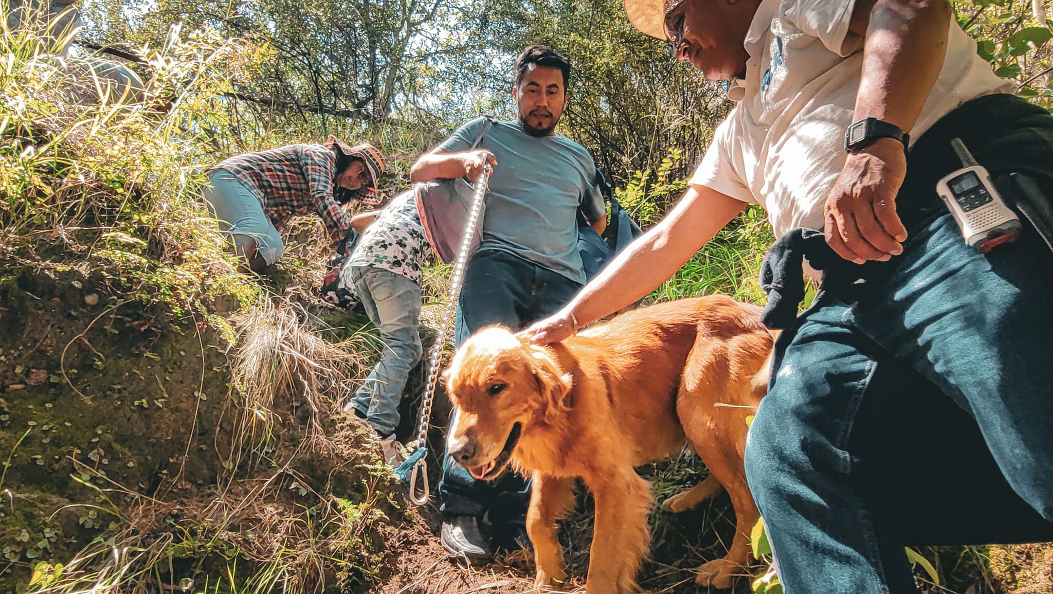 1692102777 626 Asi se vivio la CaminataEcologicaFamiliar y Reforestacion con las y