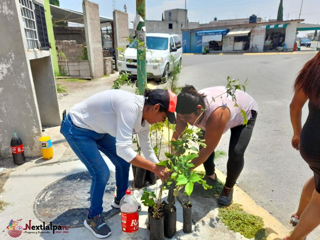 1692109512 916 ¡Seguimos trabajando El Gobierno Municipal de Nextlalpan encabezado por la