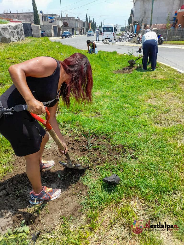 1692109519 940 ¡Seguimos trabajando El Gobierno Municipal de Nextlalpan encabezado por la