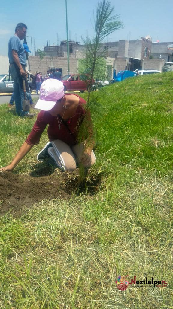 1692109522 809 ¡Seguimos trabajando El Gobierno Municipal de Nextlalpan encabezado por la