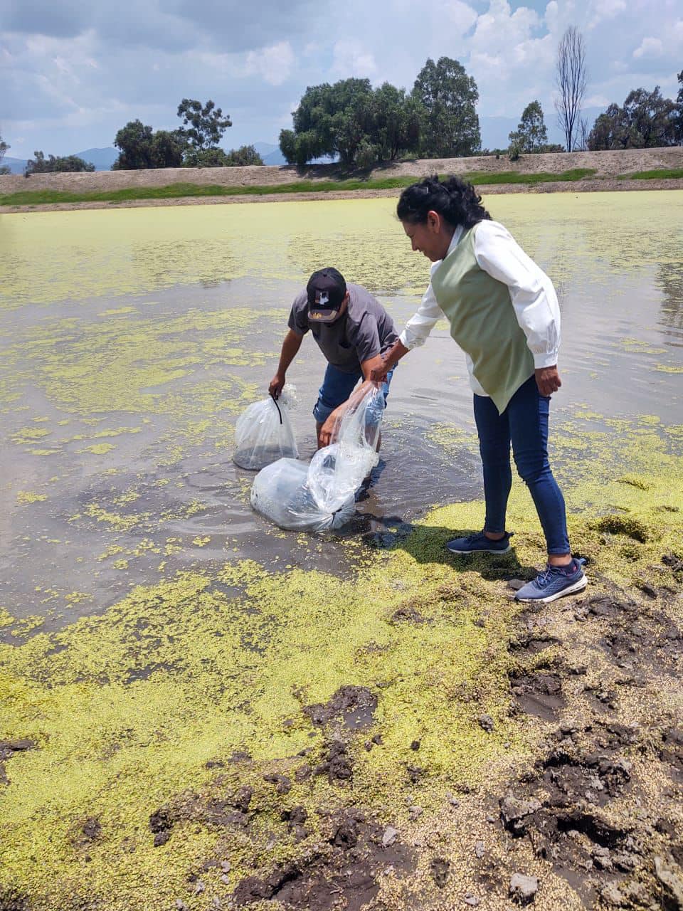 1692111372 Con el fin de incentivar y aumentar la actividad agricola