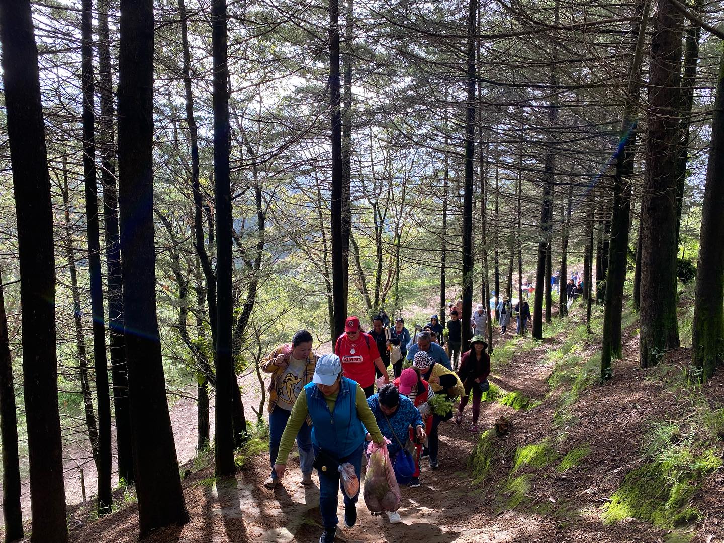 1692117661 504 Continuamos ReforestandoCapulhuac Iniciamos desde muy temprano las actividades