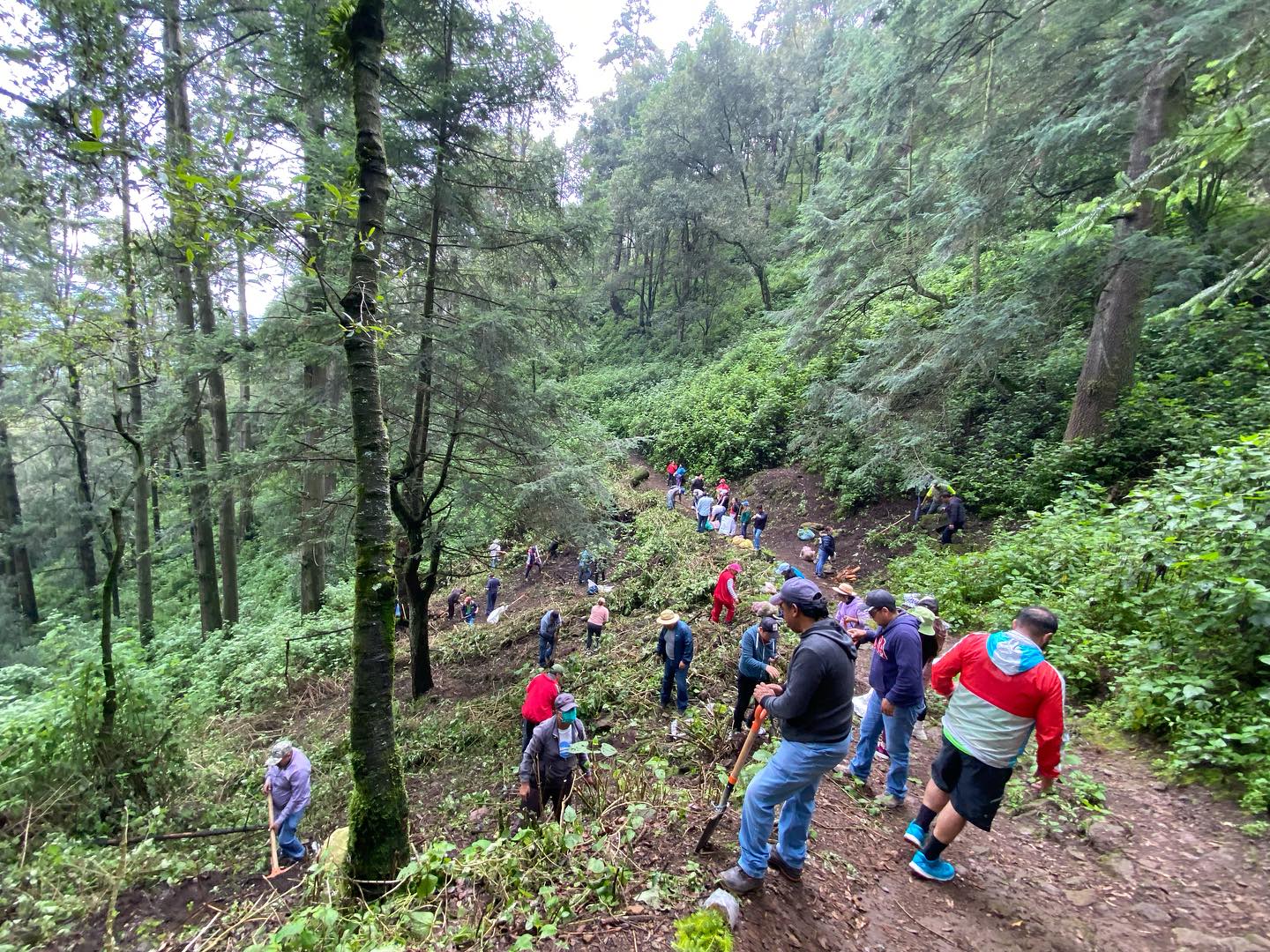 1692117665 191 Continuamos ReforestandoCapulhuac Iniciamos desde muy temprano las actividades