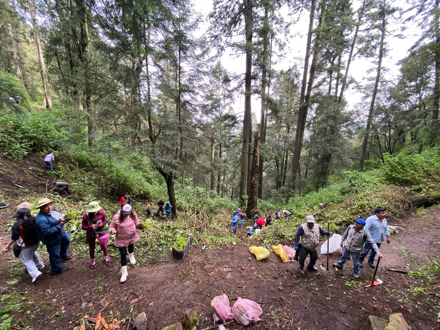 1692117669 551 Continuamos ReforestandoCapulhuac Iniciamos desde muy temprano las actividades