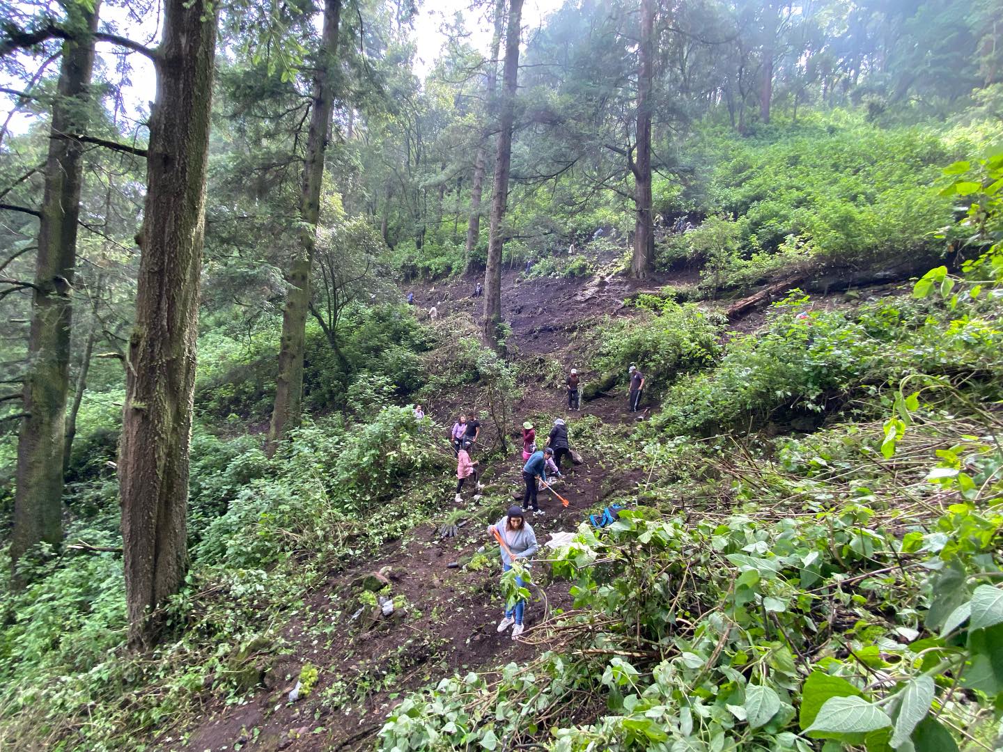 1692117673 813 Continuamos ReforestandoCapulhuac Iniciamos desde muy temprano las actividades