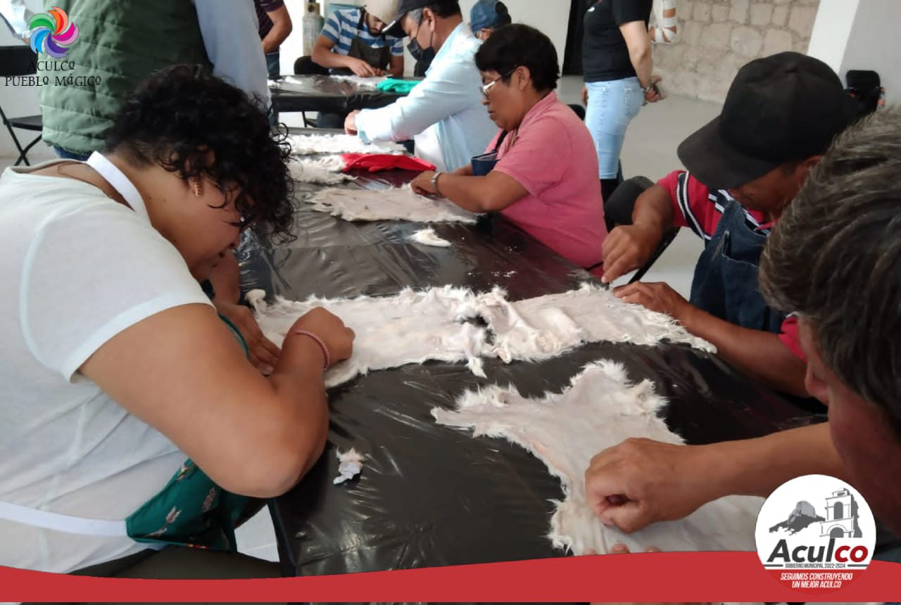 1692121494 228 Culminamos con exito el taller Curtido de Piel de Conejo