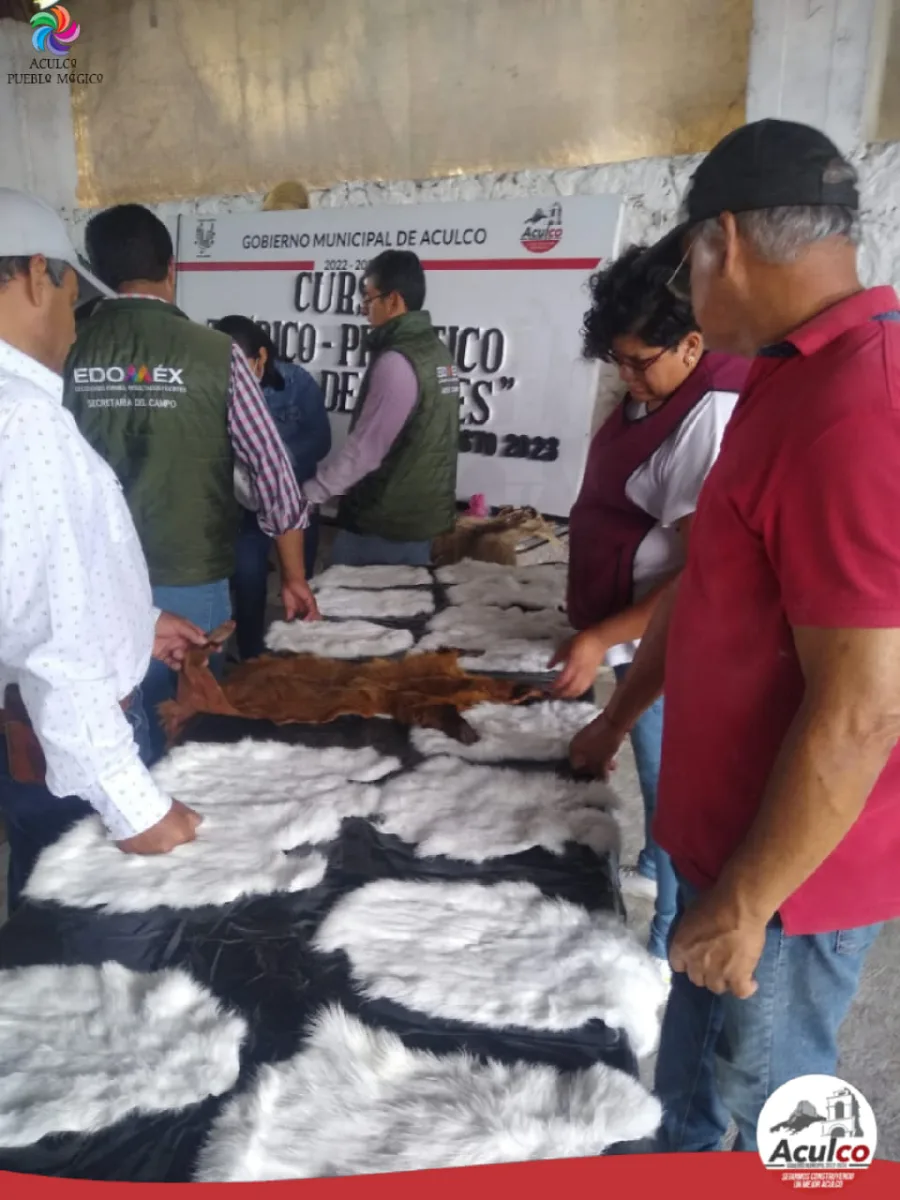 1692121500 783 Culminamos con exito el taller Curtido de Piel de Conejo