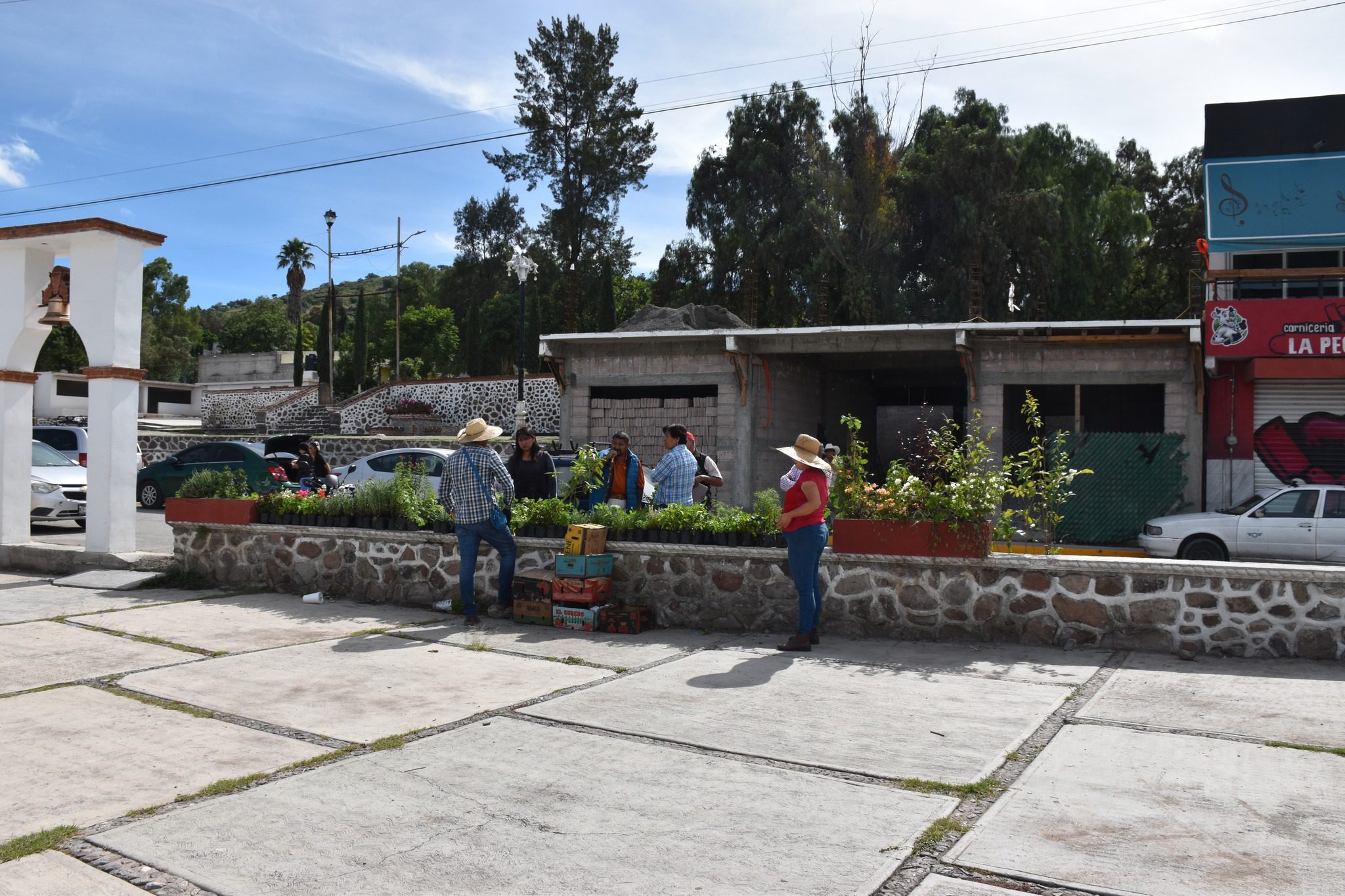 1692125932 885 La Direccion de Fomento Agropecuario en coordinacion con el vivero