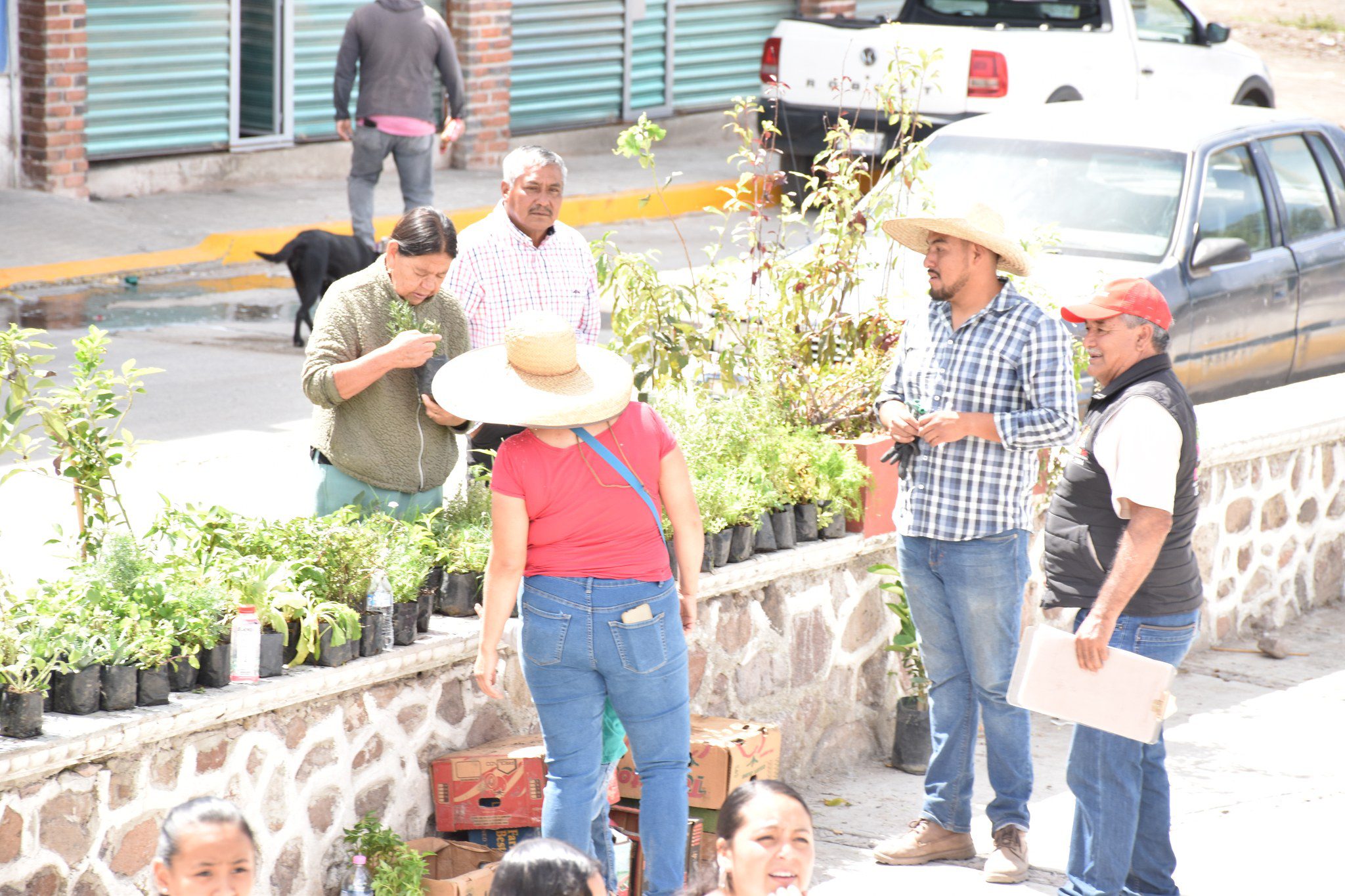 1692125935 83 La Direccion de Fomento Agropecuario en coordinacion con el vivero