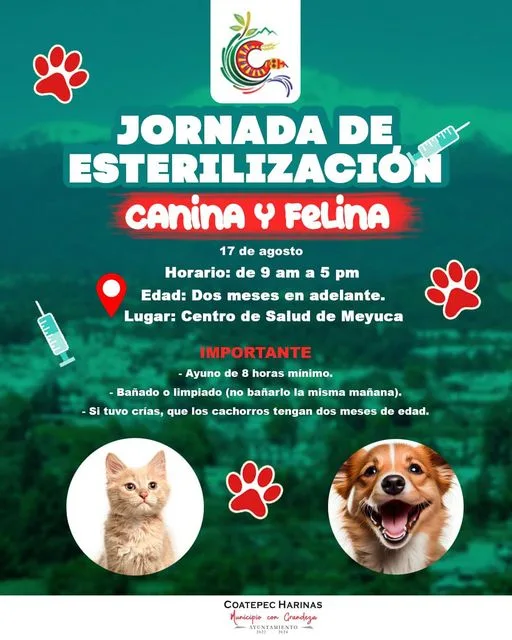 1692135397 Te invitamos a la Jornada de esterilizacion canina y felina jpg