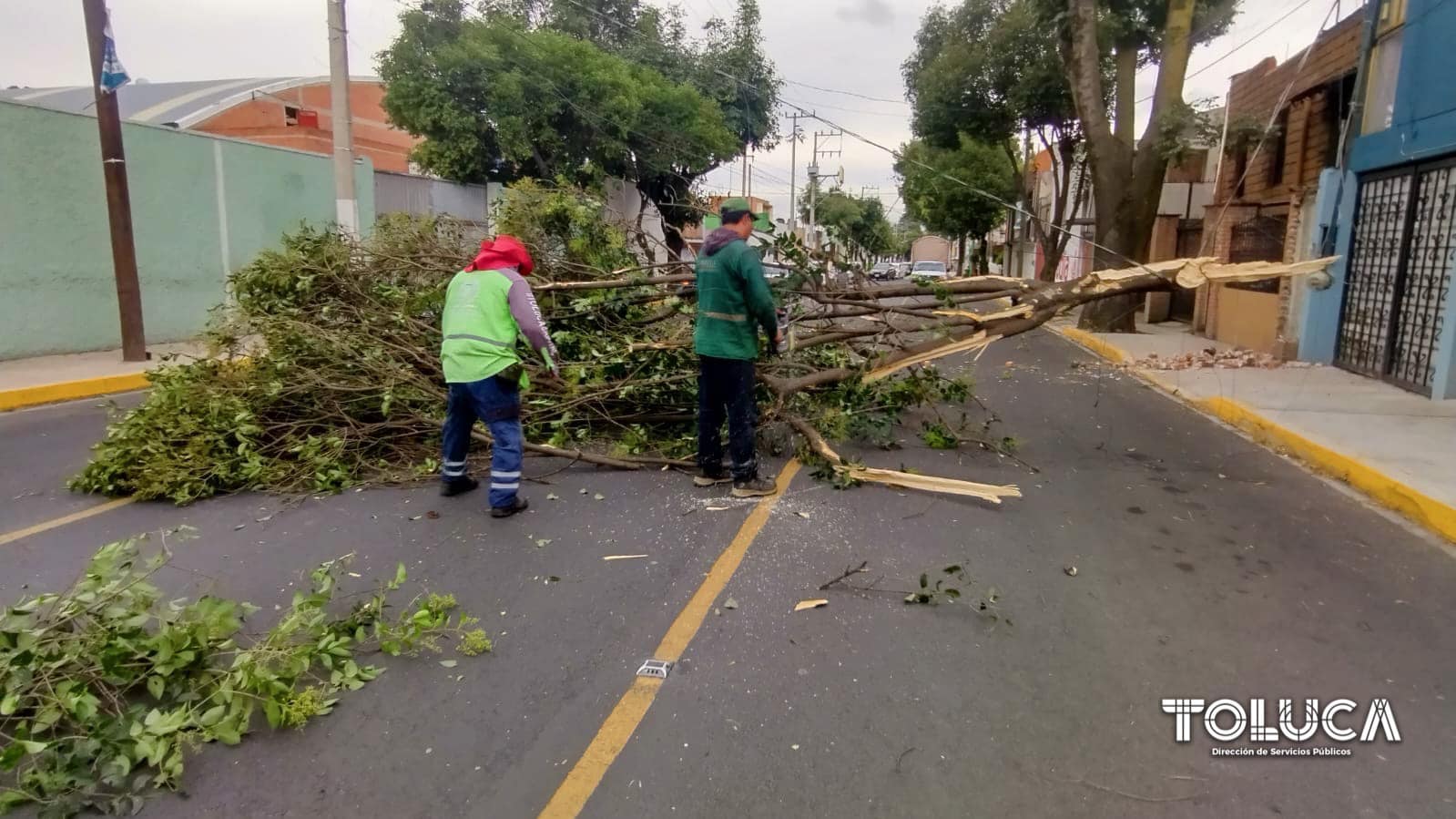 1692200155 204 EMERGENCIA Gracias a un reporte ciudadano nuestro equipo de