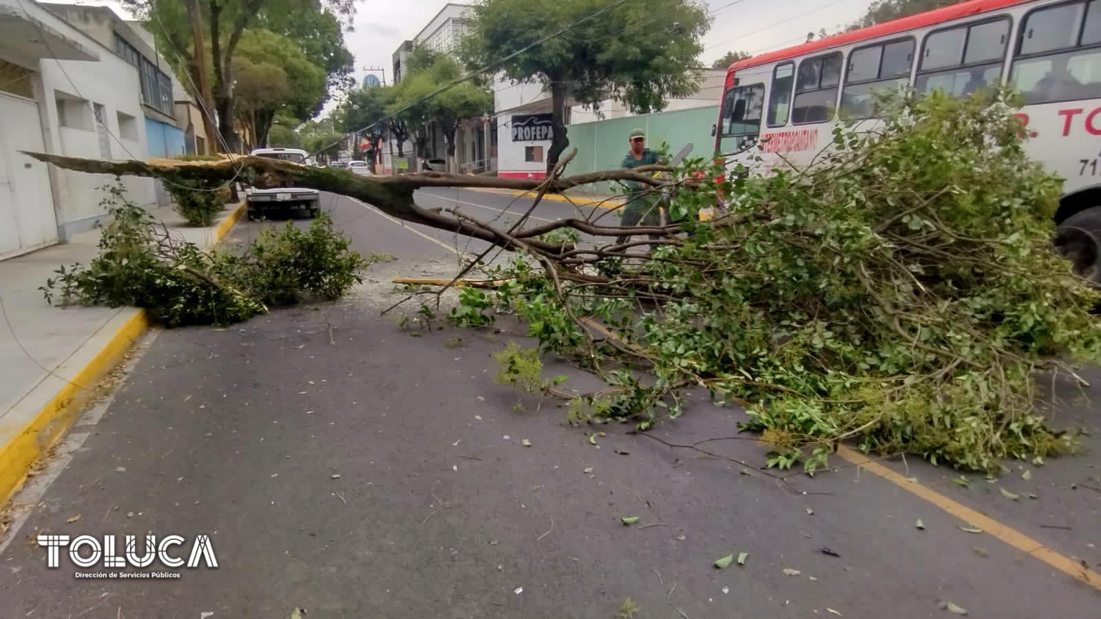 1692200167 771 EMERGENCIA Gracias a un reporte ciudadano nuestro equipo de