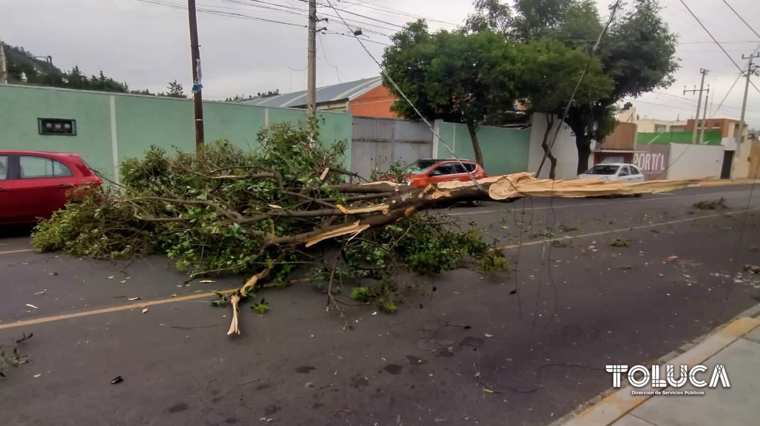 1692200173 827 EMERGENCIA Gracias a un reporte ciudadano nuestro equipo de