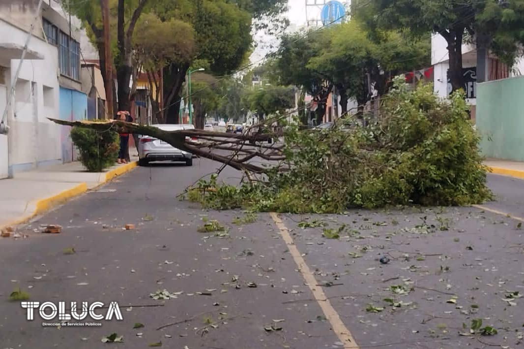 1692200195 EMERGENCIA Gracias a un reporte ciudadano nuestro equipo de