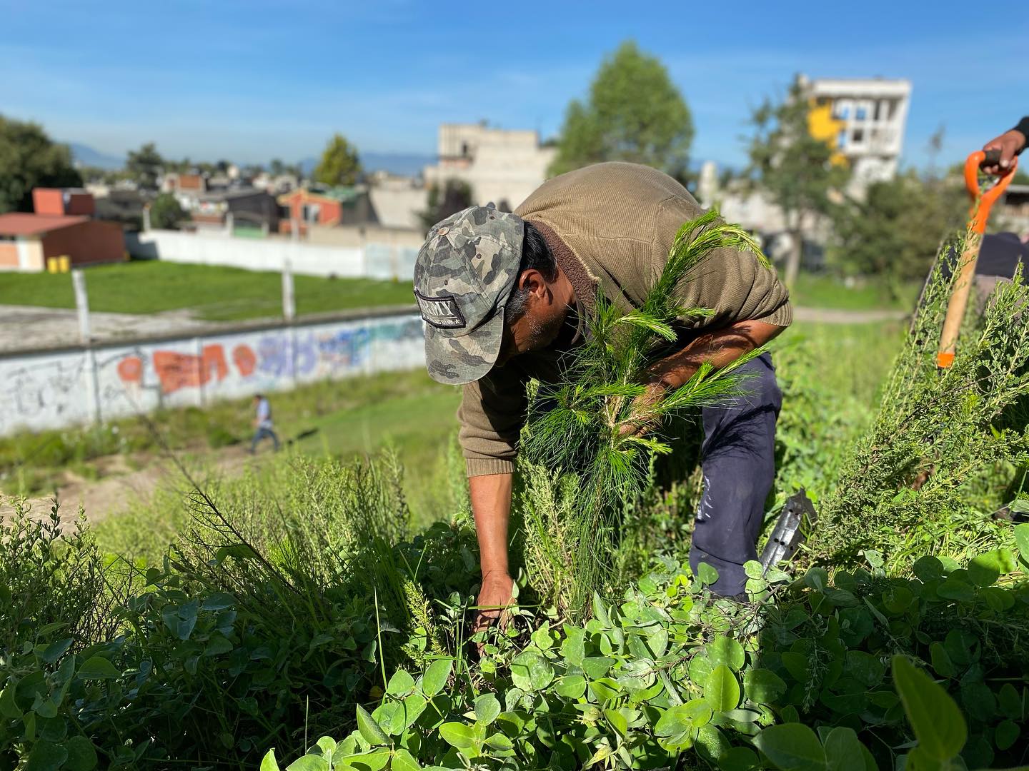 1692206712 619 ReforestandoCapulhuac Iniciamos desde muy temprano las actividades de este mie