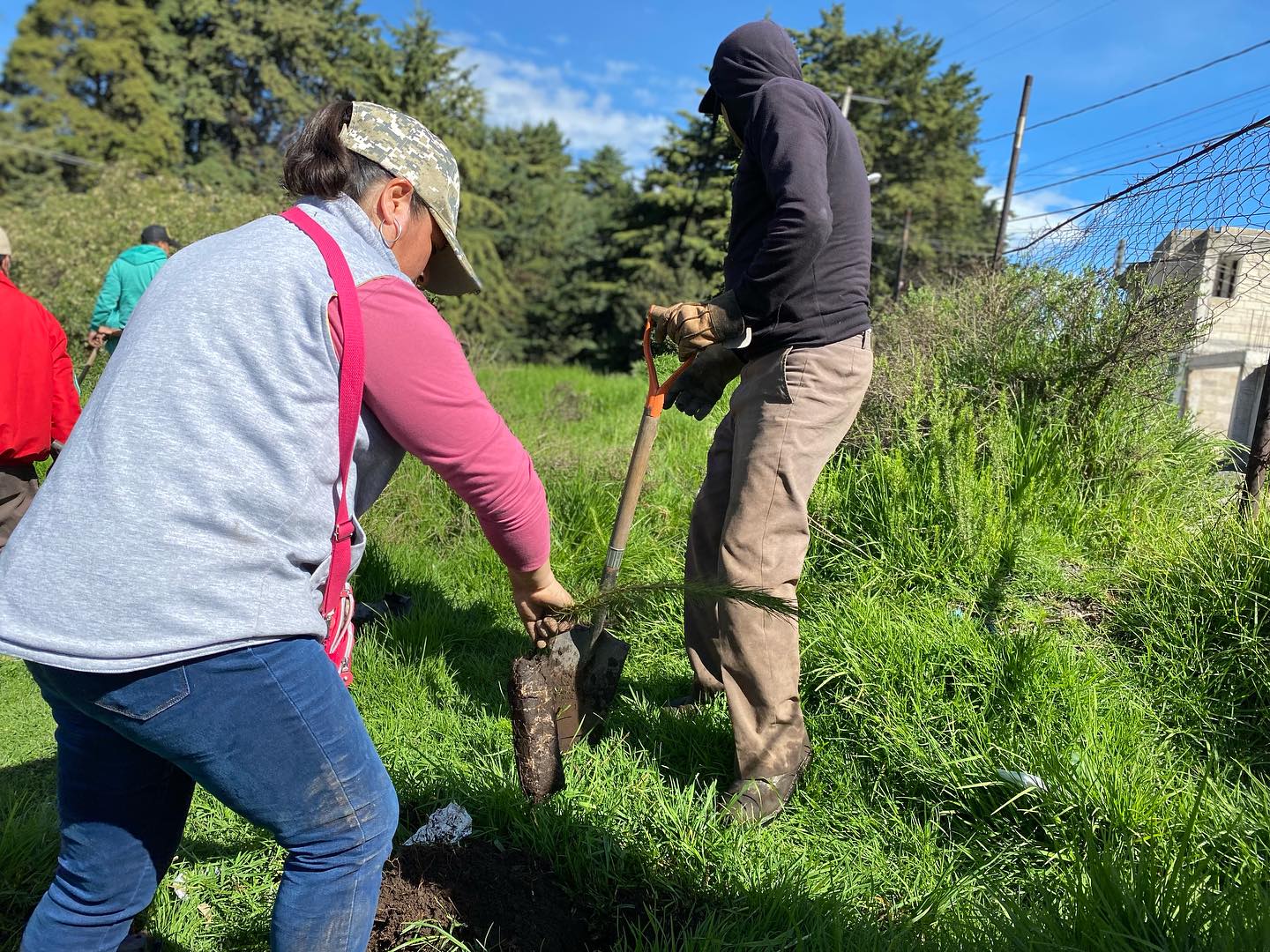 1692206722 634 ReforestandoCapulhuac Iniciamos desde muy temprano las actividades de este mie