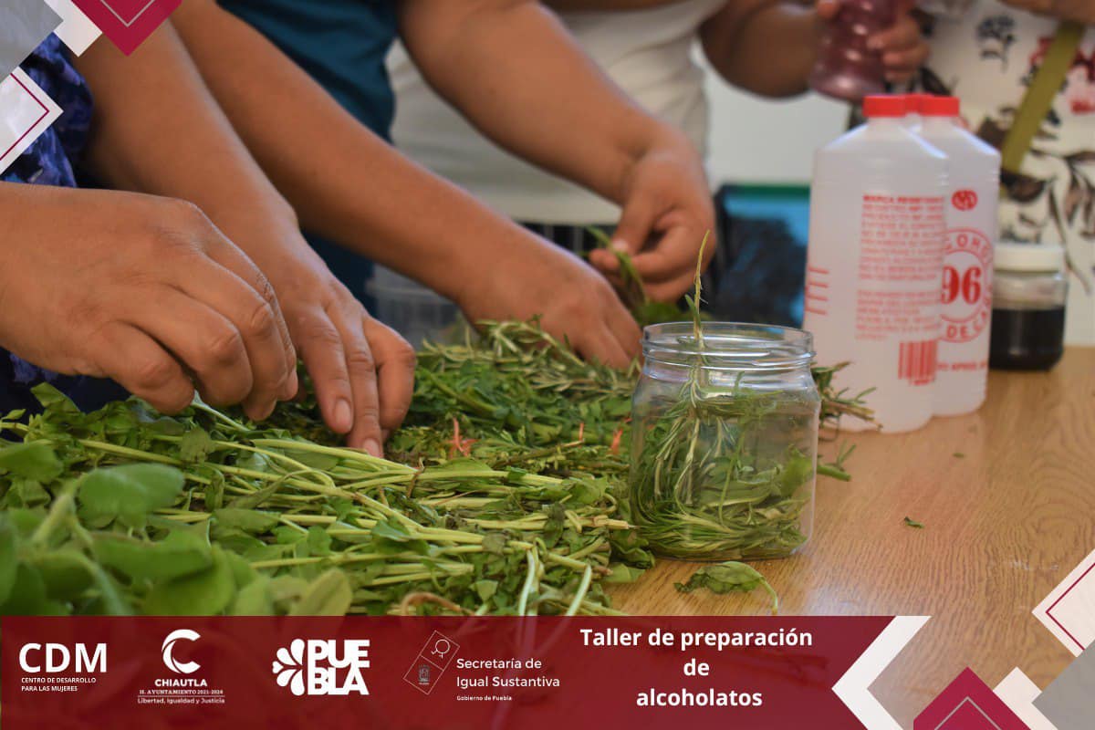 1692221160 722 Se llevo a cabo el Taller de preparacion de alcoholatos