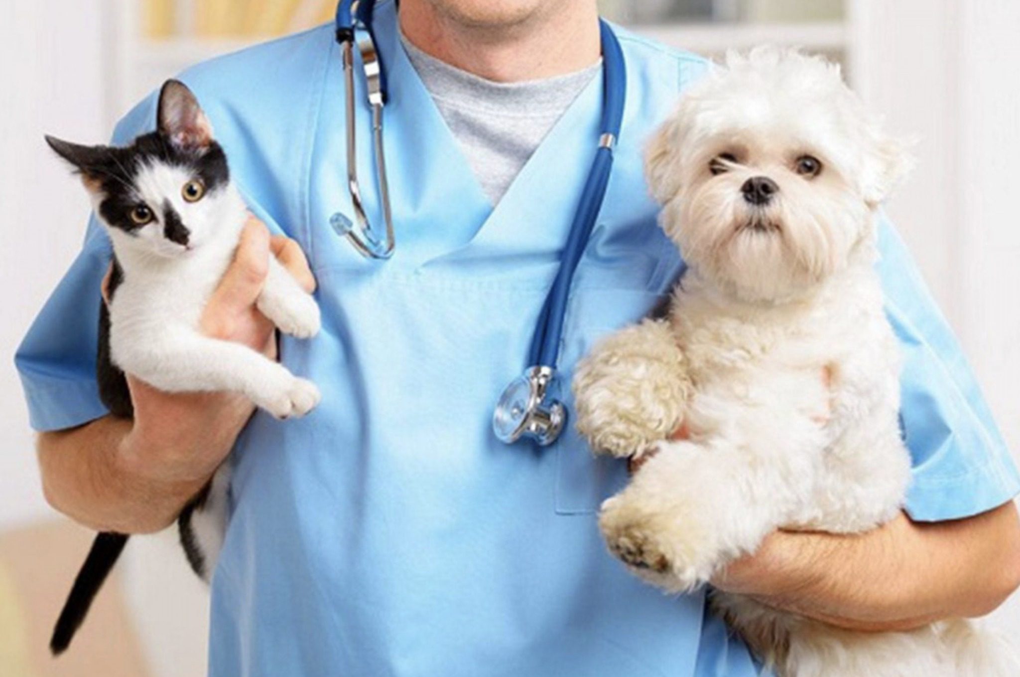 1692283047 73 ¡Feliz Dia del Veterinario a todos los profesionales de Zumpango