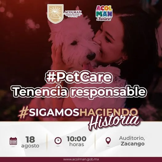 1692301088 Los perros y gatos merecen amor una familia que los jpg